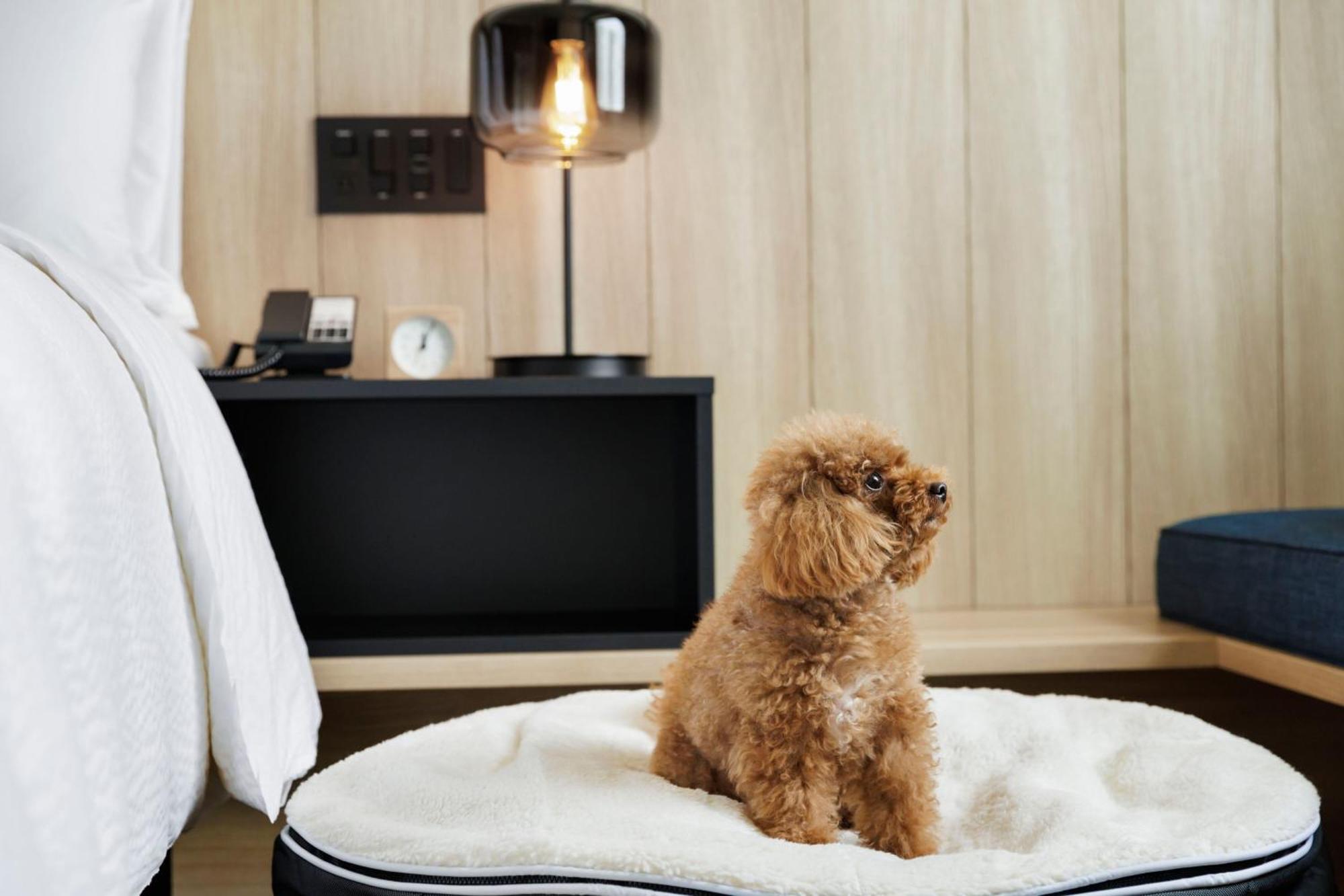 Fairfield By Marriott Kyoto Kyotamba Hotel Nantan Ngoại thất bức ảnh